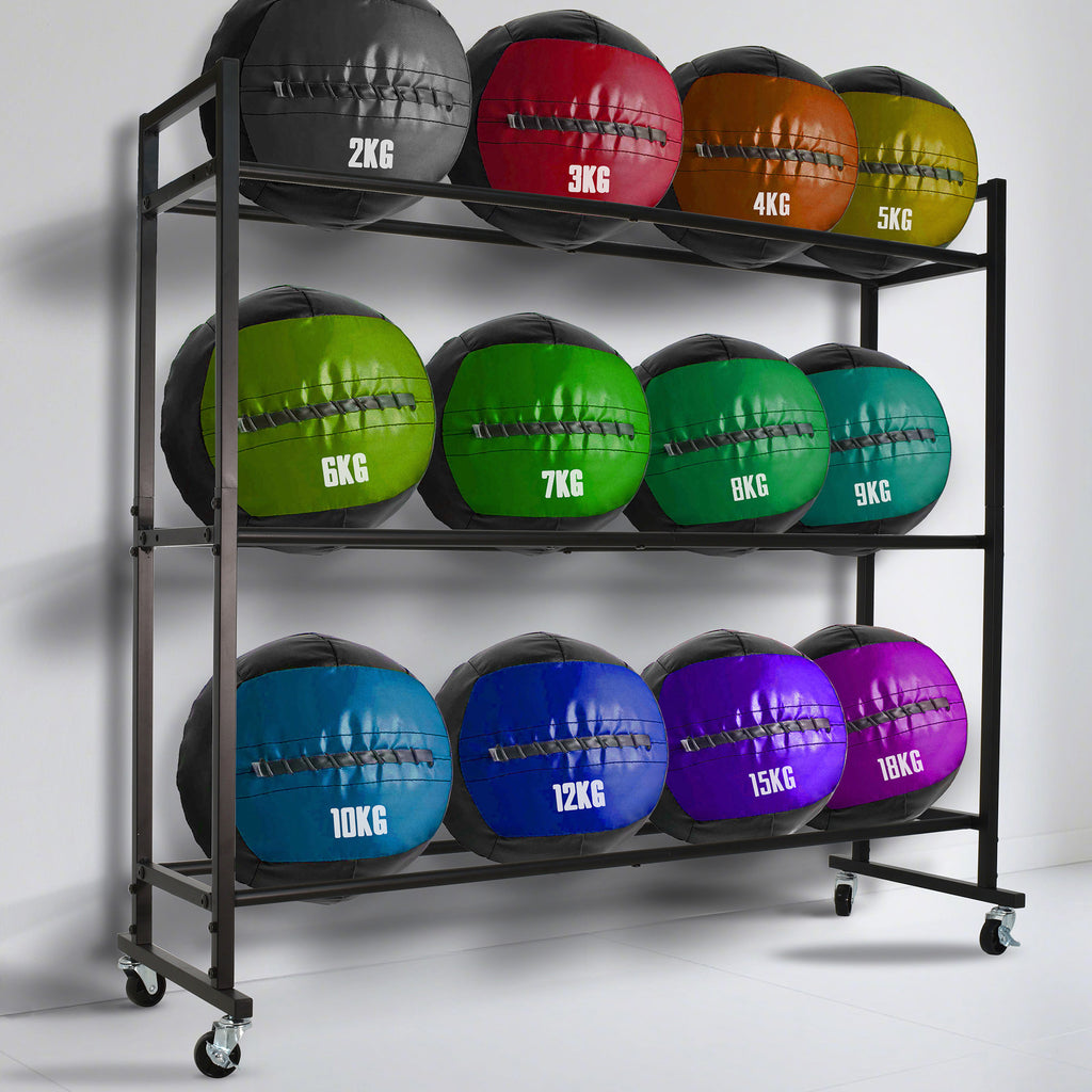 Medicine Ball Rack, Heavy Duty Medicine Ball Storage Stand, Rolling Med Ball Holder and Organizer for Home, Gym